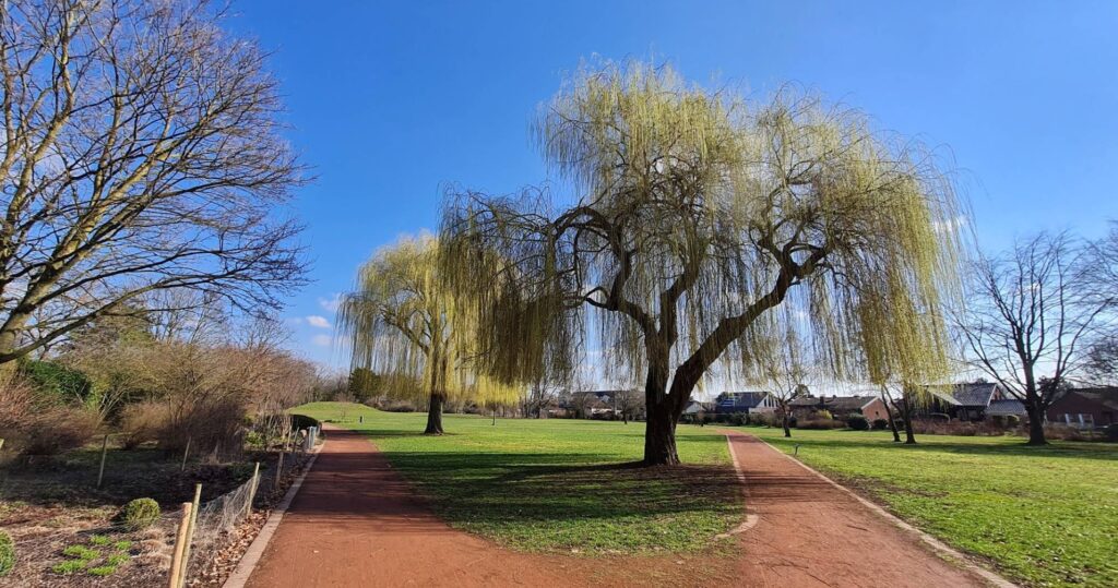 EAST-CAMBRIDGESHIRE-PARK